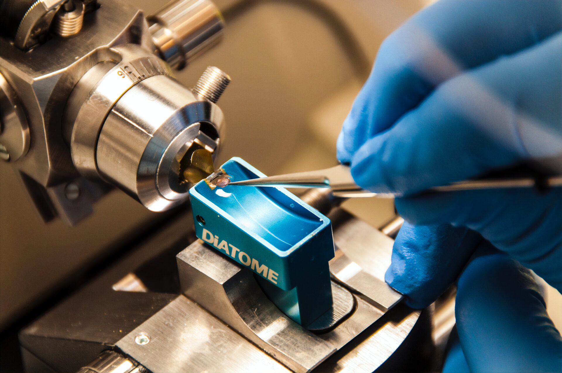 laboratorio