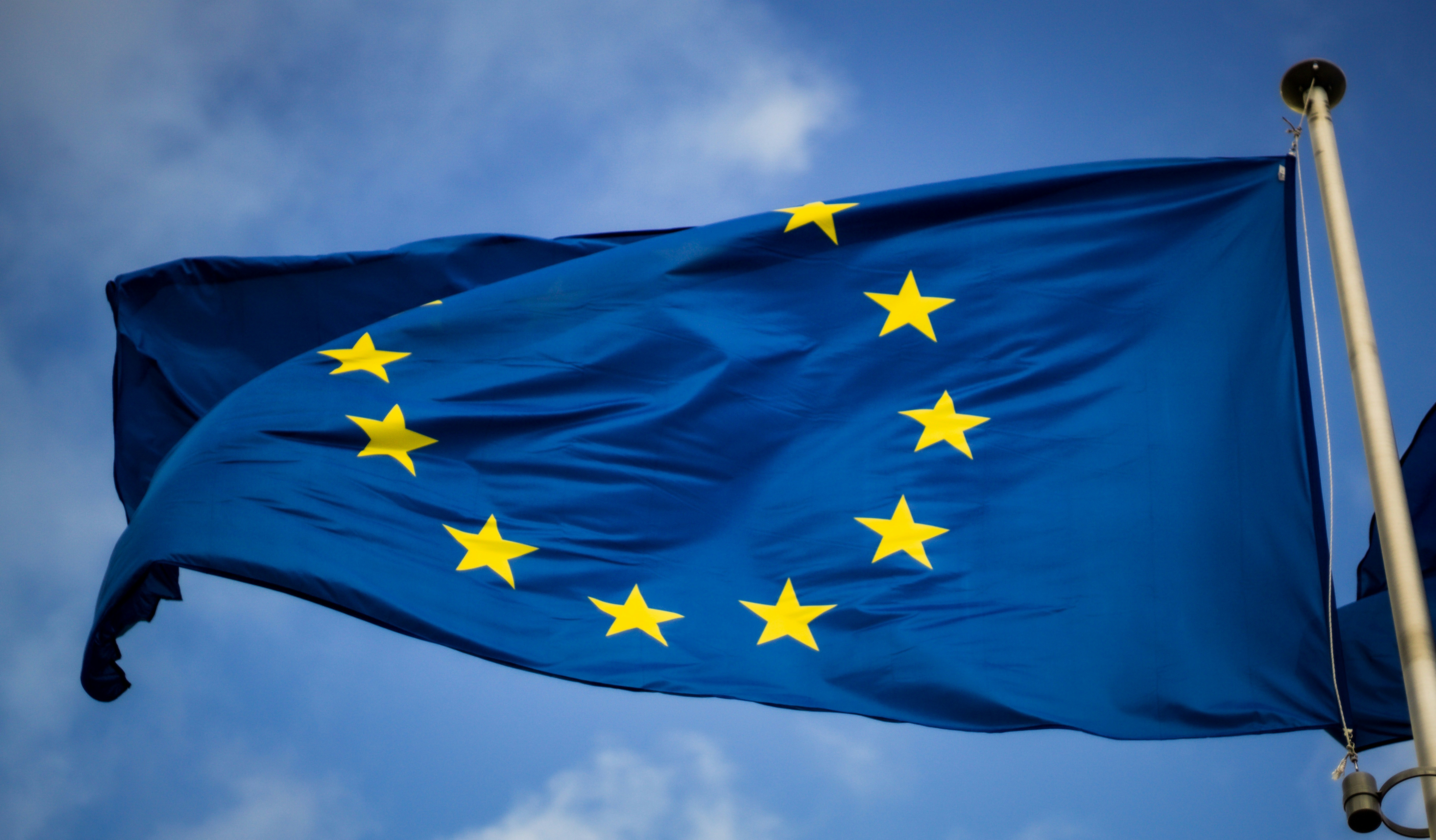 Bandiera europea