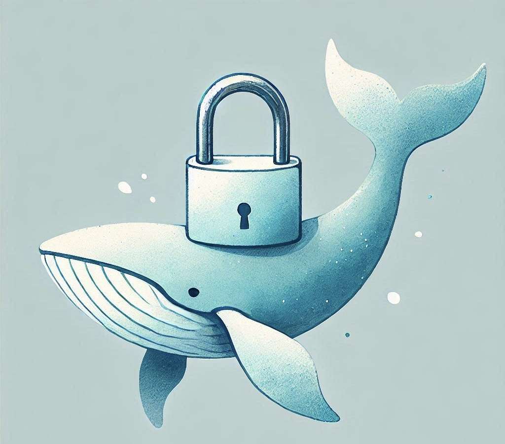 Preoccupazioni per la privacy con DeepSeek: dati inviati in Cina